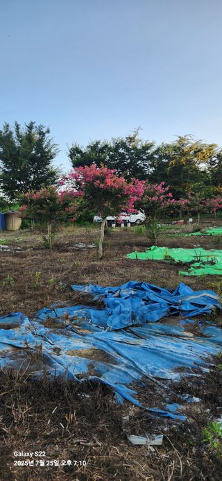 이응철님의 작성글 사진