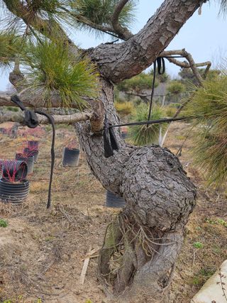 작은소나무님의 자유주제 · 사진전 작성글 사진