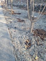 팜모닝 자유주제·자유게시판 게시글 이미지