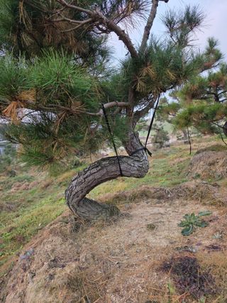 알 수 없음님의 자유주제 · 사진전 작성글 사진