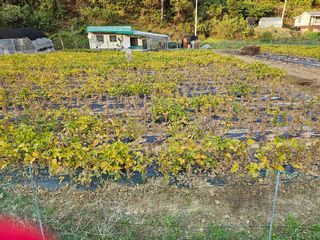 김순재님의 자유주제 · 자유게시판 작성글 사진