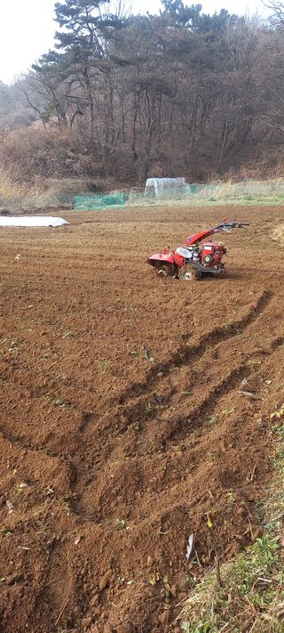 고병길님의 자유주제 · 자유게시판 작성글 사진