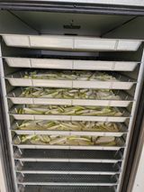 조정권님의 자유주제·자유게시판 작성글 사진