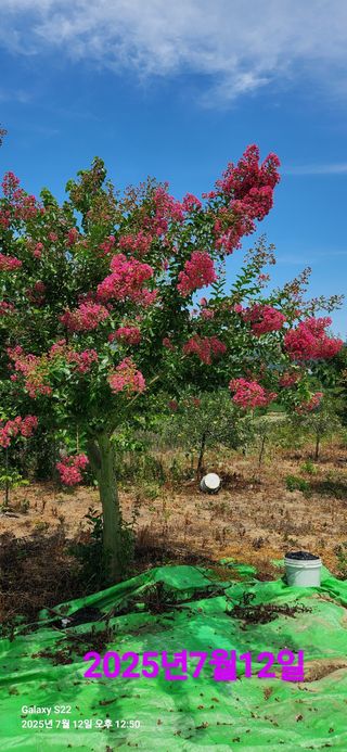 이응철님의 작성글 사진