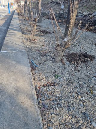 김용대님의 자유주제 · 자유게시판 작성글 사진