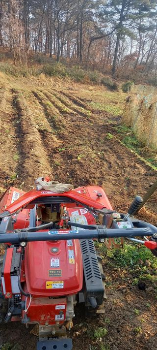 고병길님의 자유주제 · 자유게시판 작성글 사진