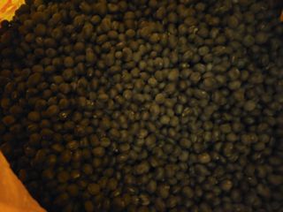 김종옥님의 작성글 사진