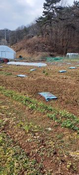 팜모닝 자유주제·자유게시판 게시글 이미지