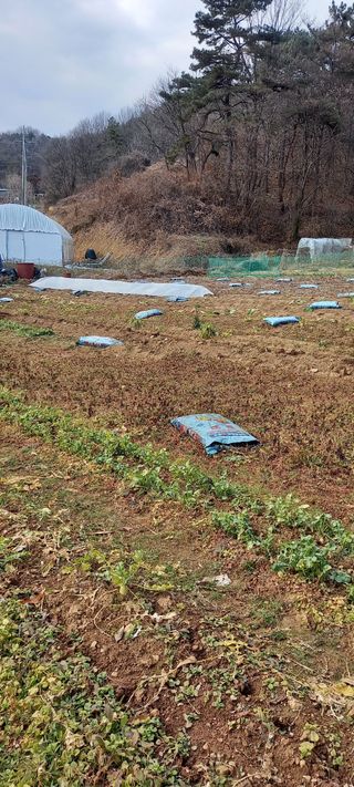 고병길님의 자유주제 · 자유게시판 작성글 사진