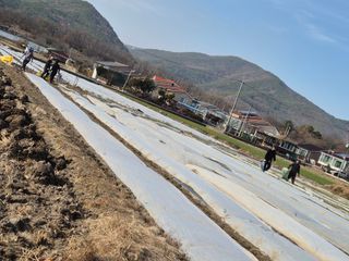 서해숙님의 자유주제 · 자유게시판 작성글 사진