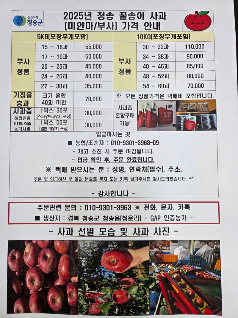 장터 상품 [사과 5kg] 썸네일