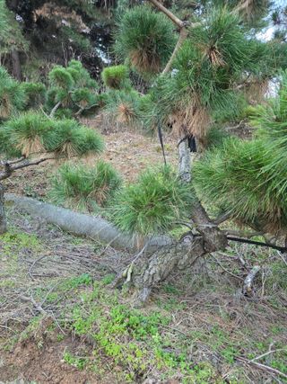 작은소나무님의 자유주제 · 사진전 작성글 사진