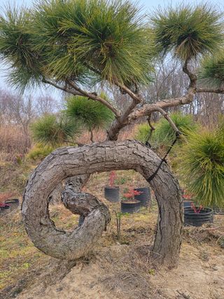 알 수 없음님의 자유주제 · 사진전 작성글 사진