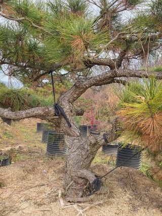 알 수 없음님의 자유주제 · 사진전 작성글 사진