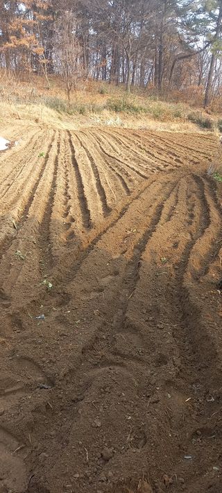 고병길님의 자유주제 · 자유게시판 작성글 사진