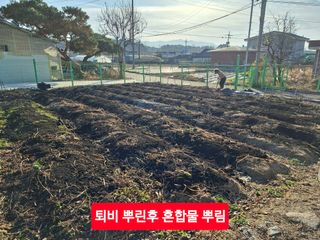 김중언님의 자유주제 · 자유게시판 작성글 사진