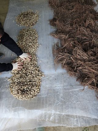 포도10314님의 자유주제·자유게시판 작성글 사진