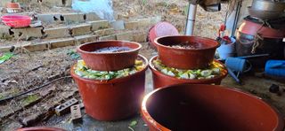 조미숙님의 자유주제 · 자유게시판 작성글 사진