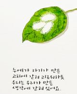 (팽나무*공주)님의 자유주제·자유게시판 작성글 사진