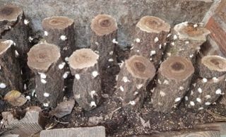 신탄진농약비료마트님의 자유주제 · 자유게시판 작성글 사진