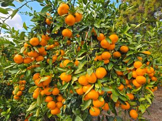 Captain김상곤님의 자유주제 · 자유게시판 작성글 사진