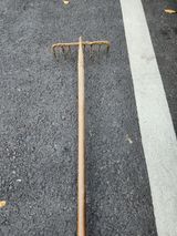 고추마늘양파참깨배추님의 자유주제·자유게시판 작성글 사진