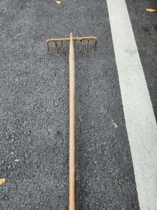 고추마늘양파참깨배추님의 자유주제 · 자유게시판 작성글 사진