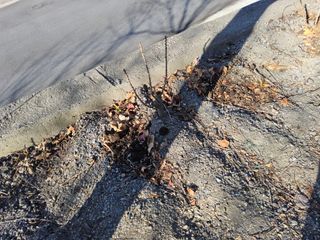 김용대님의 자유주제 · 자유게시판 작성글 사진