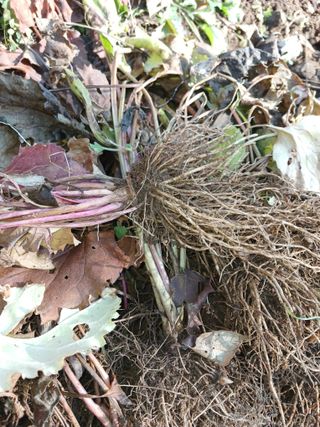 고성운님의 작성글 사진