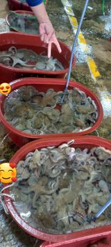 팜모닝 기타작물·자유게시판 게시글 이미지