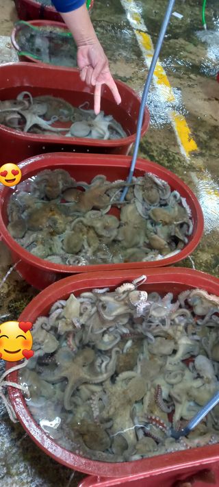 이영환님의 기타작물 · 자유게시판 작성글 사진