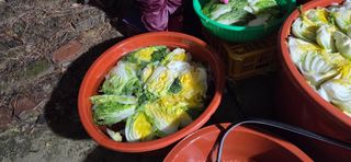 조미숙님의 자유주제 · 자유게시판 작성글 사진