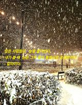 팜모닝 자유주제·자유게시판 게시글 이미지