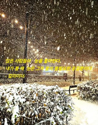 젠틀맨님의 자유주제·자유게시판 작성글 사진