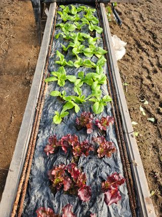 종일님의 자유주제 · 자유게시판 작성글 사진