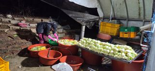 조미숙님의 자유주제 · 자유게시판 작성글 사진