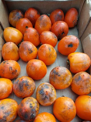 조봉래님의 작성글 사진