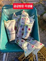 팜모닝 자유주제·자유게시판 게시글 이미지