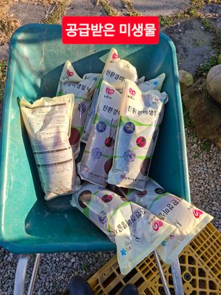 김중언님의 자유주제 · 자유게시판 작성글 사진