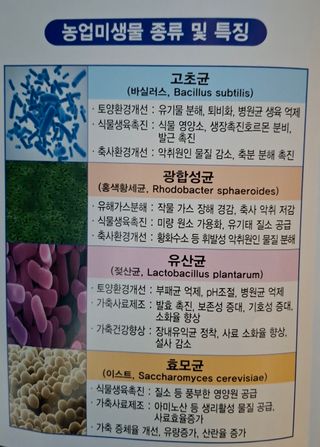 김중언님의 자유주제 · 자유게시판 작성글 사진