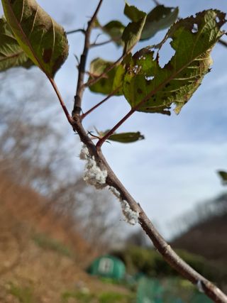 박정미님의 자유주제 · 자유게시판 작성글 사진
