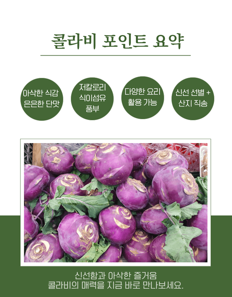 과일팩토리님의 장터 판매 상품 [[과일팩토리] 신선한 국내산 콜라비 선별과 산지직송 2kg/3kg/5kg/10kg] 첨부 사진