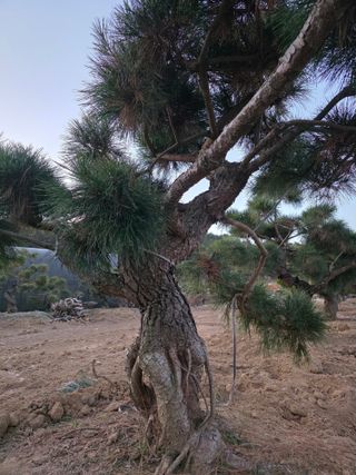 작은소나무님의 자유주제 · 사진전 작성글 사진