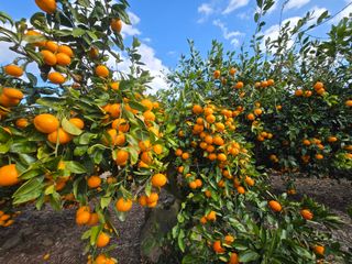 Captain김상곤님의 자유주제 · 자유게시판 작성글 사진