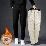 팜모닝 · 게시글 이미지