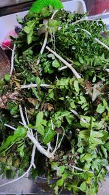 팜모닝 자유주제·자유게시판 게시글 이미지