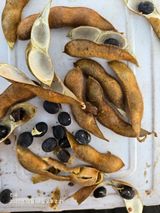 무 하님의 농사, 무엇이든 물어보세요!·참여글 작성글 사진