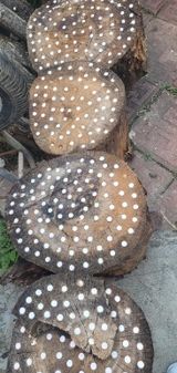 파머스케어님의 자유주제·자유게시판 작성글 사진