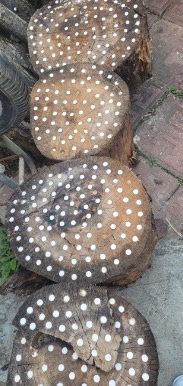 파머스케어님의 자유주제 · 자유게시판 작성글 사진