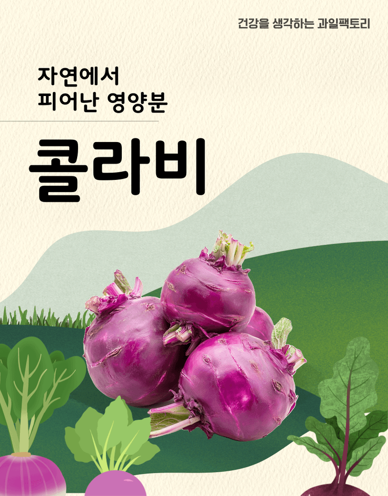 과일팩토리님의 장터 판매 상품 [[과일팩토리] 신선한 국내산 콜라비 선별과 산지직송 2kg/3kg/5kg/10kg] 첨부 사진